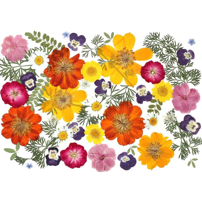 48 Piezas Flores Secas Naturales Mixtas para Manualidades y Pasteles