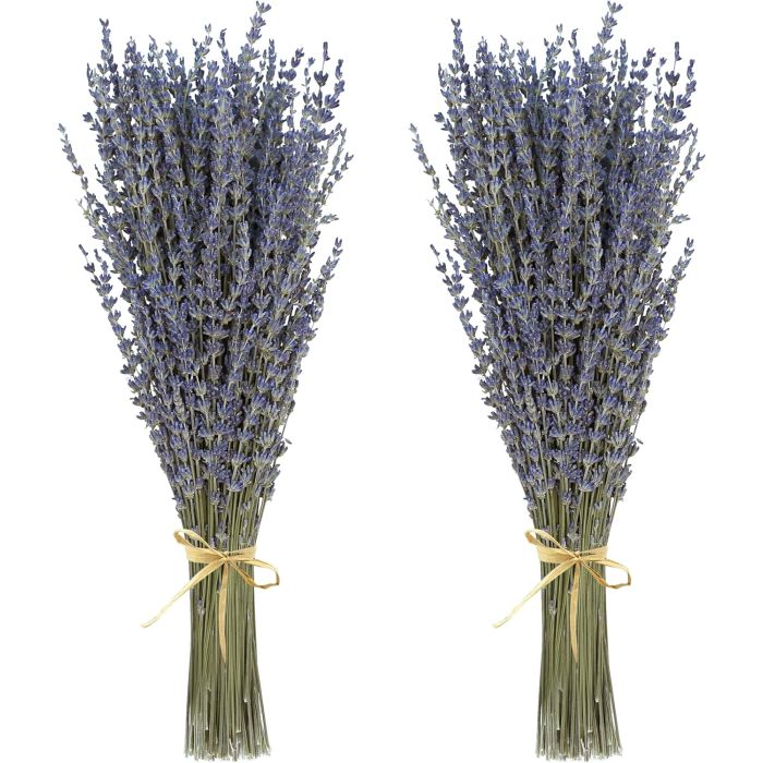 Lavanda Seca 2 Manojos 100% Fresca Natural Ramos Decorativos 38cm