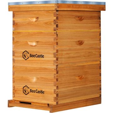 Colmena BeeCastle Langstroth 10 Marcos Cera 2 Cajas Profundas 1 Mediana