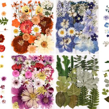 110+ Flores Secas Prensadas para Resina, Manualidades, Bricolaje