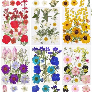 Flores Secas para Resina 106 Piezas Naturales al Vacío