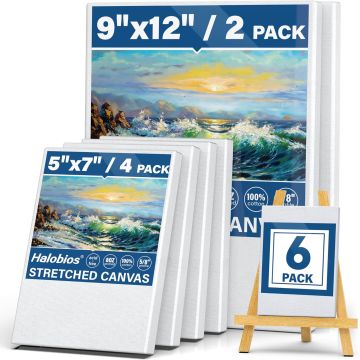 6 Pack de Lienzos Estirados para Pintura 5x7in y 9x12in