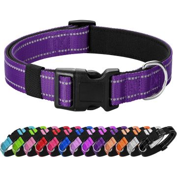 Collar Reflectante para Perro Medio Acolchado Neopreno Nylon Hebilla